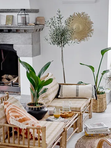 Tama kanne 1,25 l - Klar
​
​ - Bloomingville
