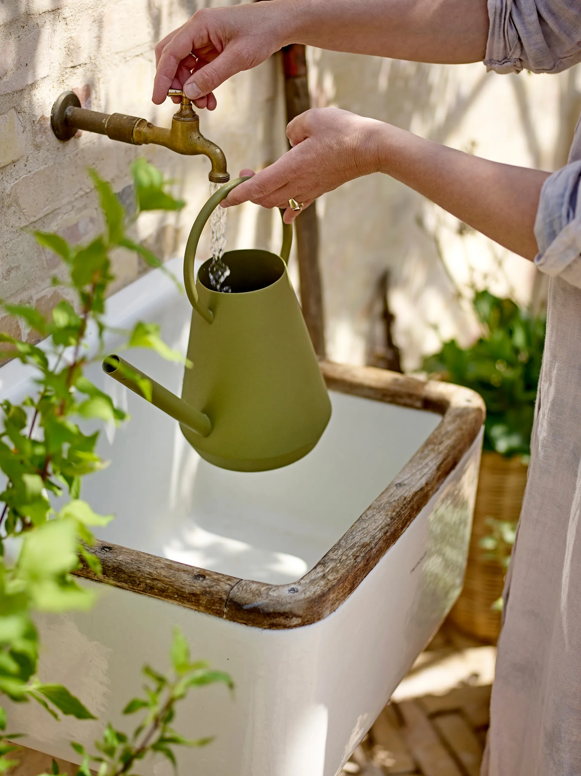 Vallis vannkanne, Grønn Bloomingville