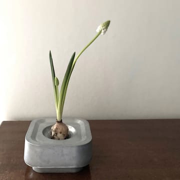 Stumpestaken Ettan - Aluminium - Born In Sweden