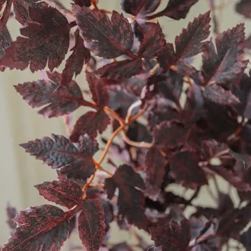 Burgundy Plum Leaves kunstig bukett - Rød, 85 cm, 1 stk - Botané