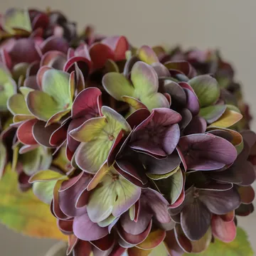 Hortensia kunstig blomst - Dempet lilla, 60 cm, 1 stk - Botané