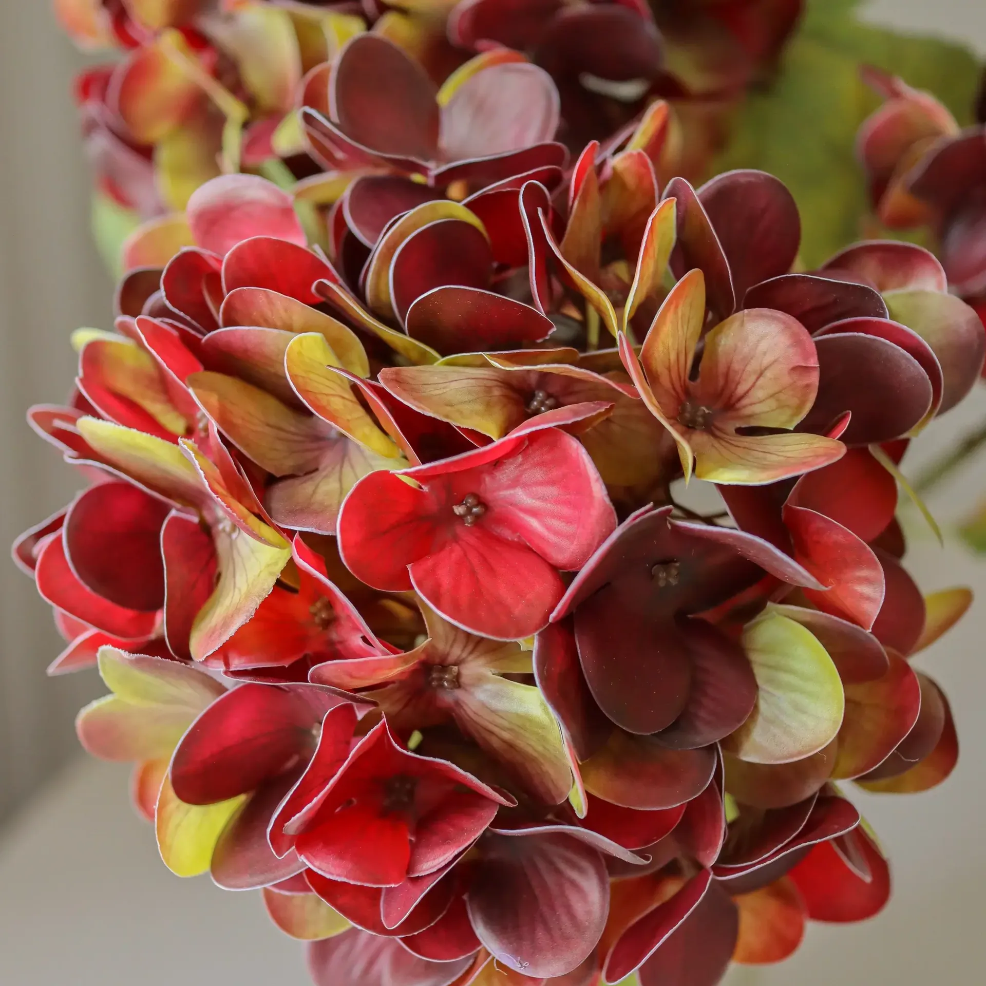 Hortensia kunstig blomst, Dyp burgunder, 60 cm, 1 stk Botané