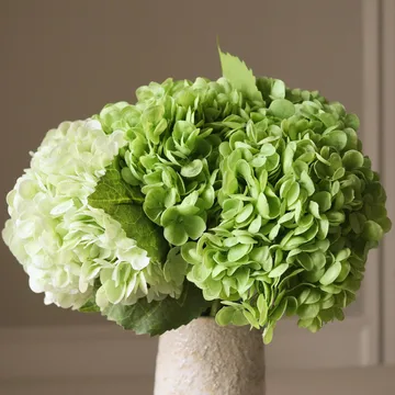 Hortensia kunstig bukett - Grønn, 7 stk - Botané