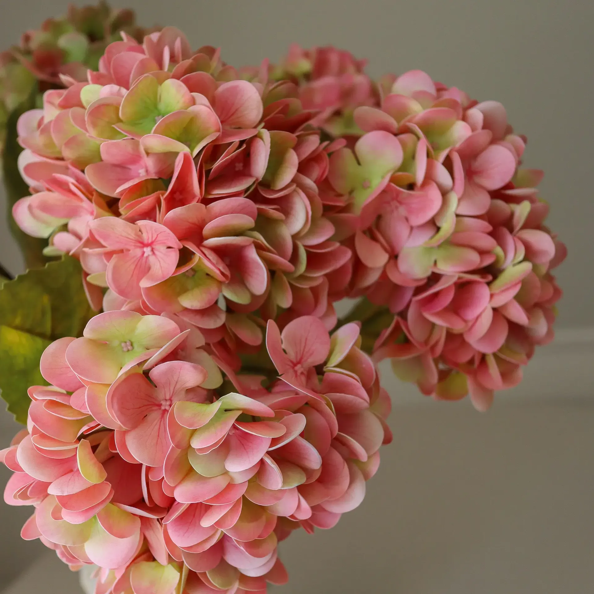 Hortensia kunstig bukett, Soft pink, 60 cm, 5 stk Botané