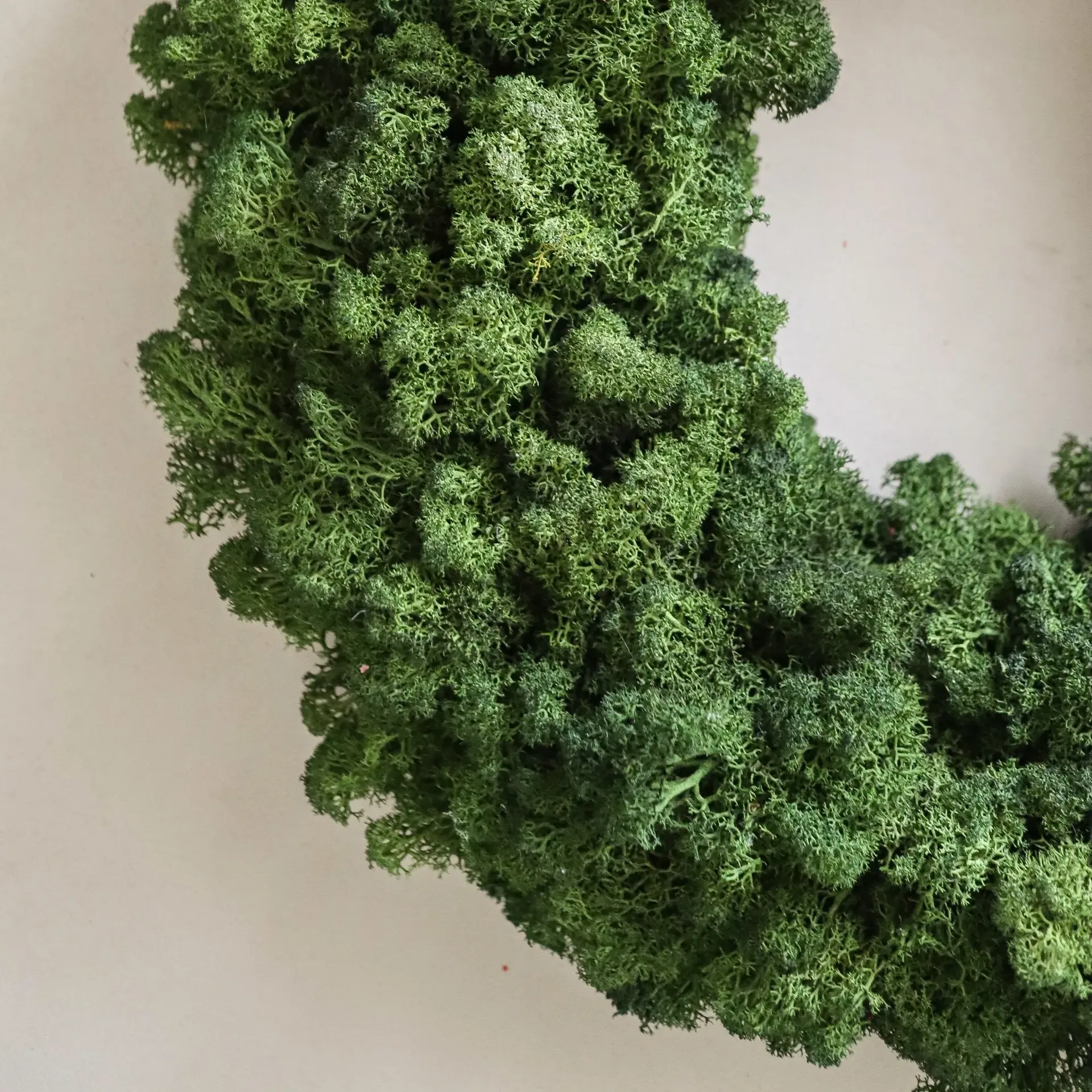 Moss Wreath mosekrans, Green, Ø40 cm Botané