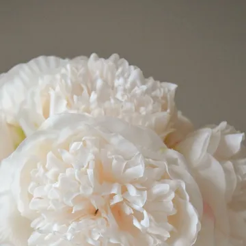 Peoner kunstig bukett - Mini, cream 10 stk - Botané
