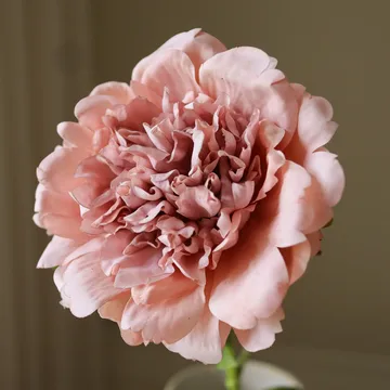 Pion kunstig blomst - Dusty pink, 56 cm, 1 stk - Botané