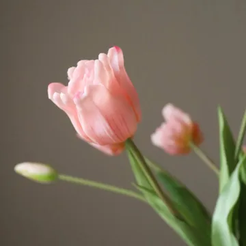 Tulipaner Triumph kunstig bukett - Lyserosa, 10 stk - Botané