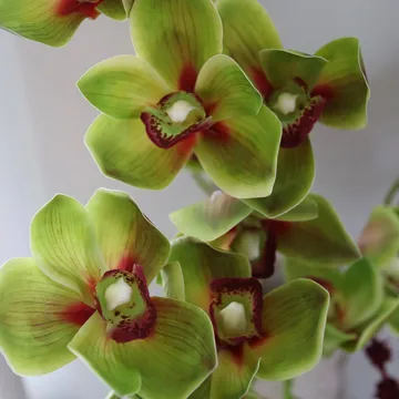 Velvet Vine kunstig bukett - Orkidé-amaranth 6 stk - Botané