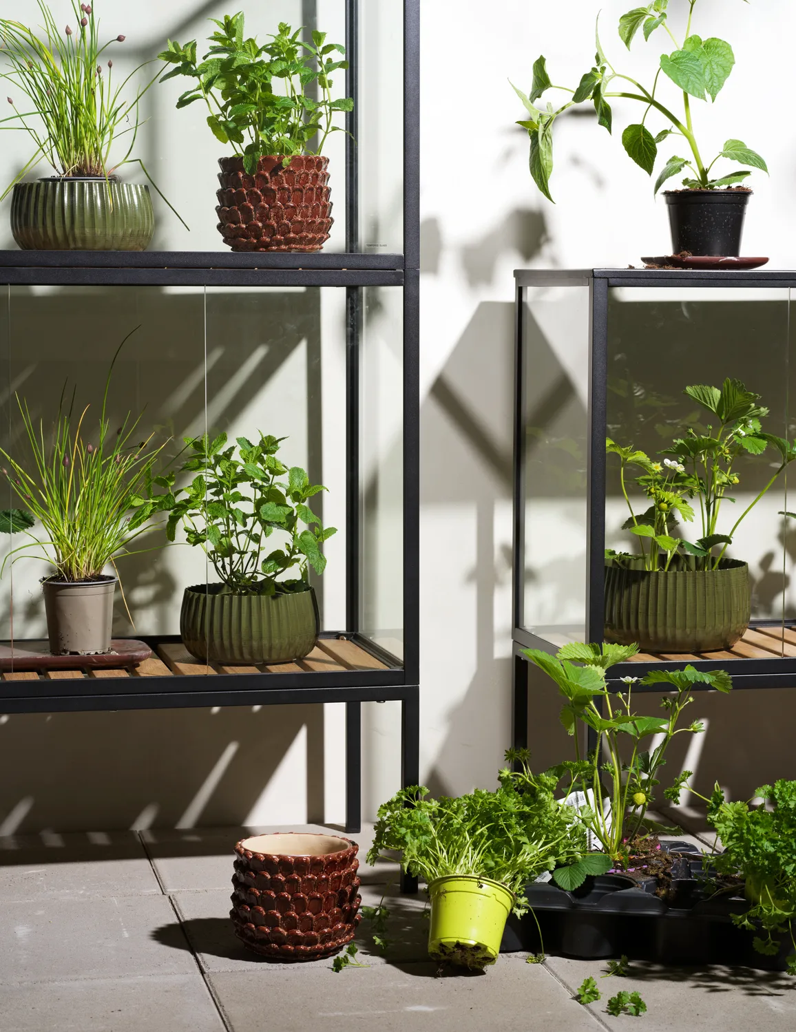 Grower Greens planteskap, Svart, 81x137 cm Brafab