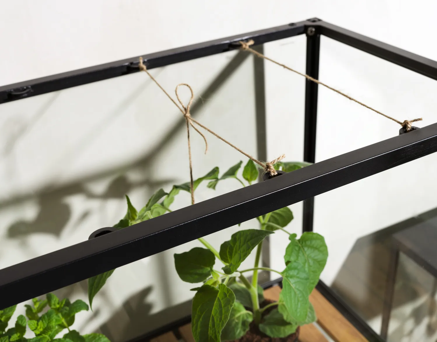 Grower Greens planteskap, Svart, 81x137 cm Brafab