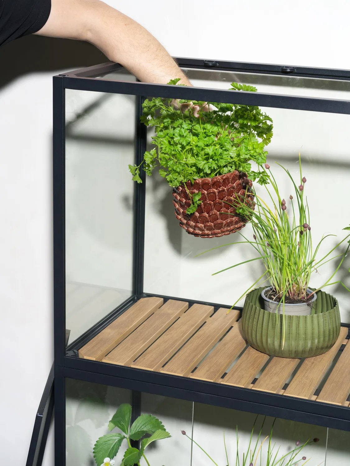 Grower Greens planteskap, Svart, 81x137 cm Brafab