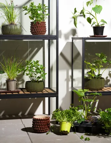 Grower Greens planteskap - Svart, 81x82 cm - Brafab