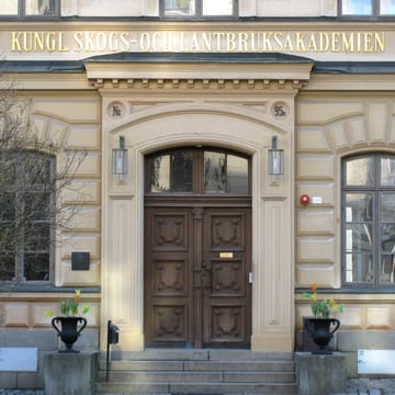 Prakturna krukke Ø55 cm - Svart - Byarums bruk