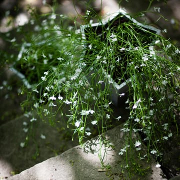 Stjärnkruka potte - Aluminium, høy Ø30 cm - Byarums bruk