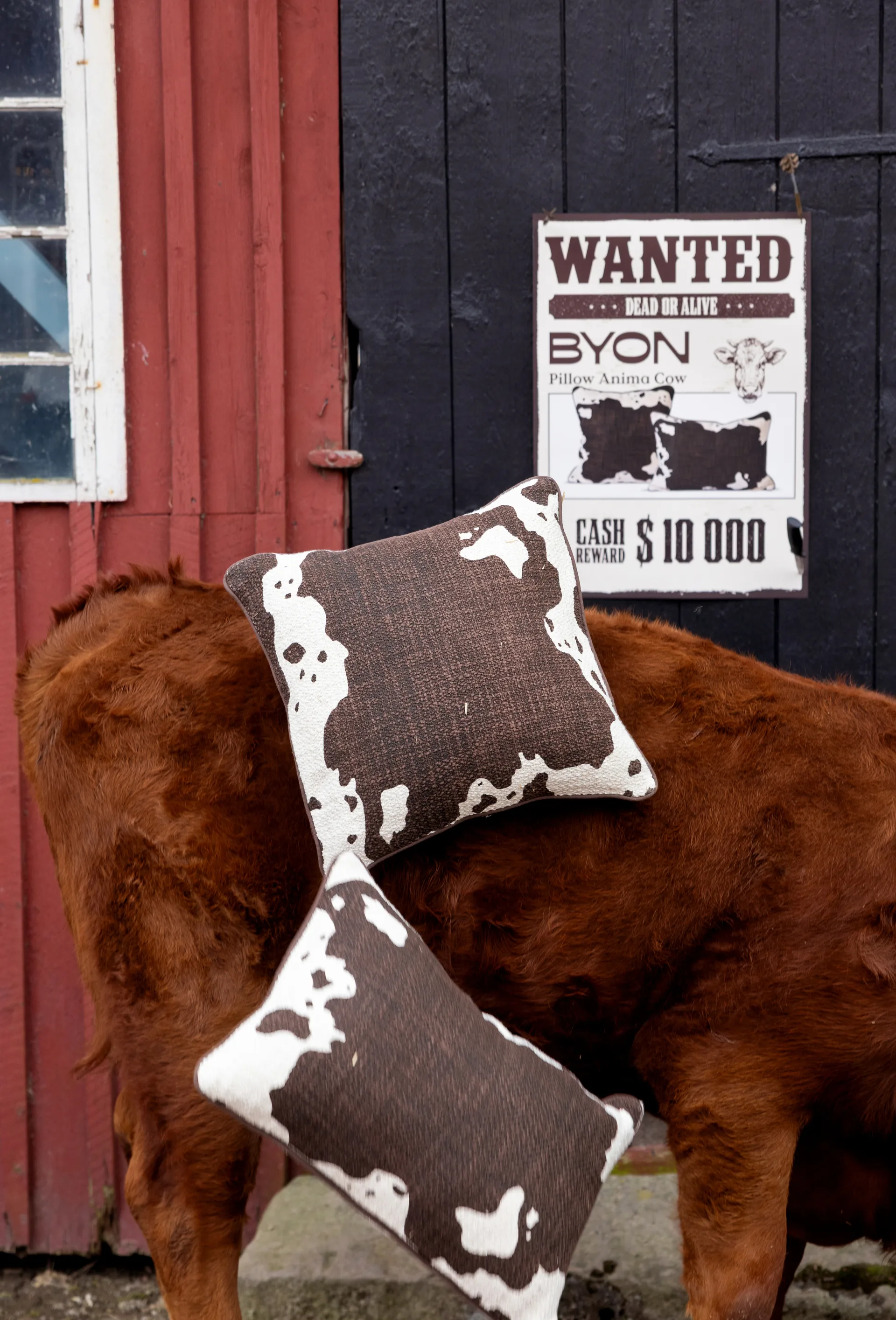 Anima pute L 40x60 cm, Cow Byon