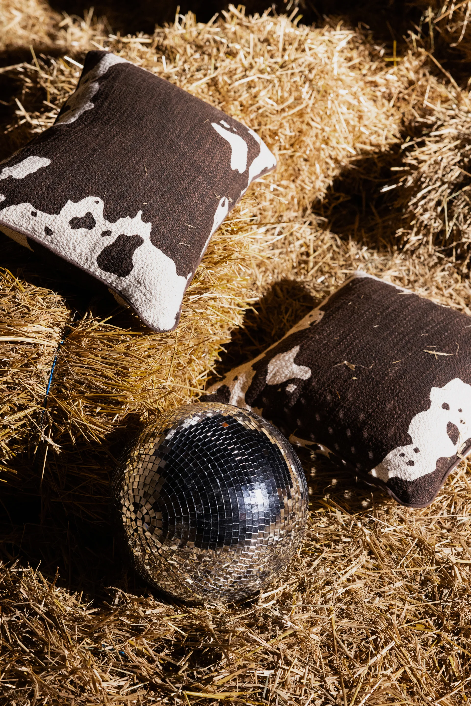 Anima pute M 50x50 cm, Cow Byon