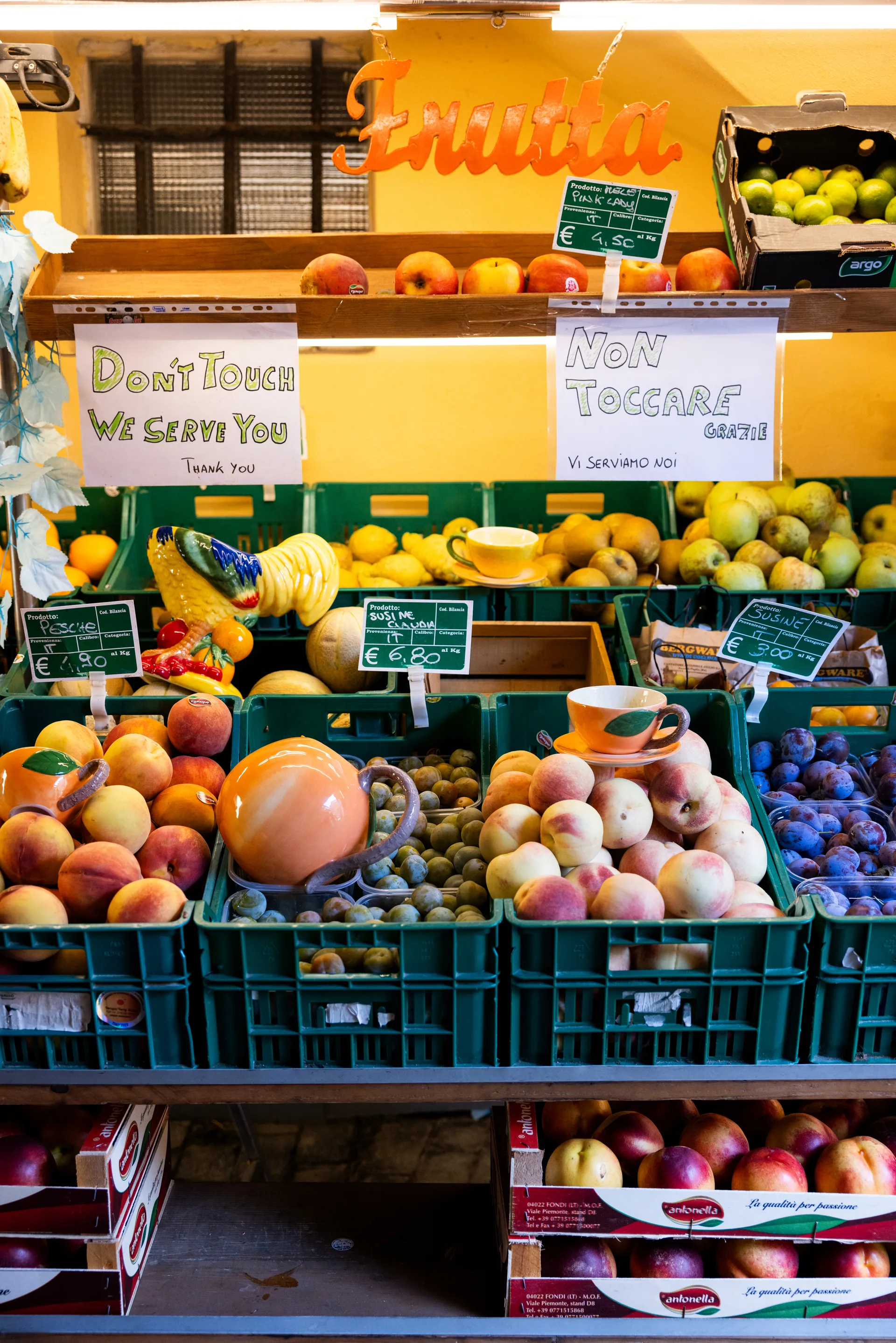 Fruity Rooster skål, Gul Byon
