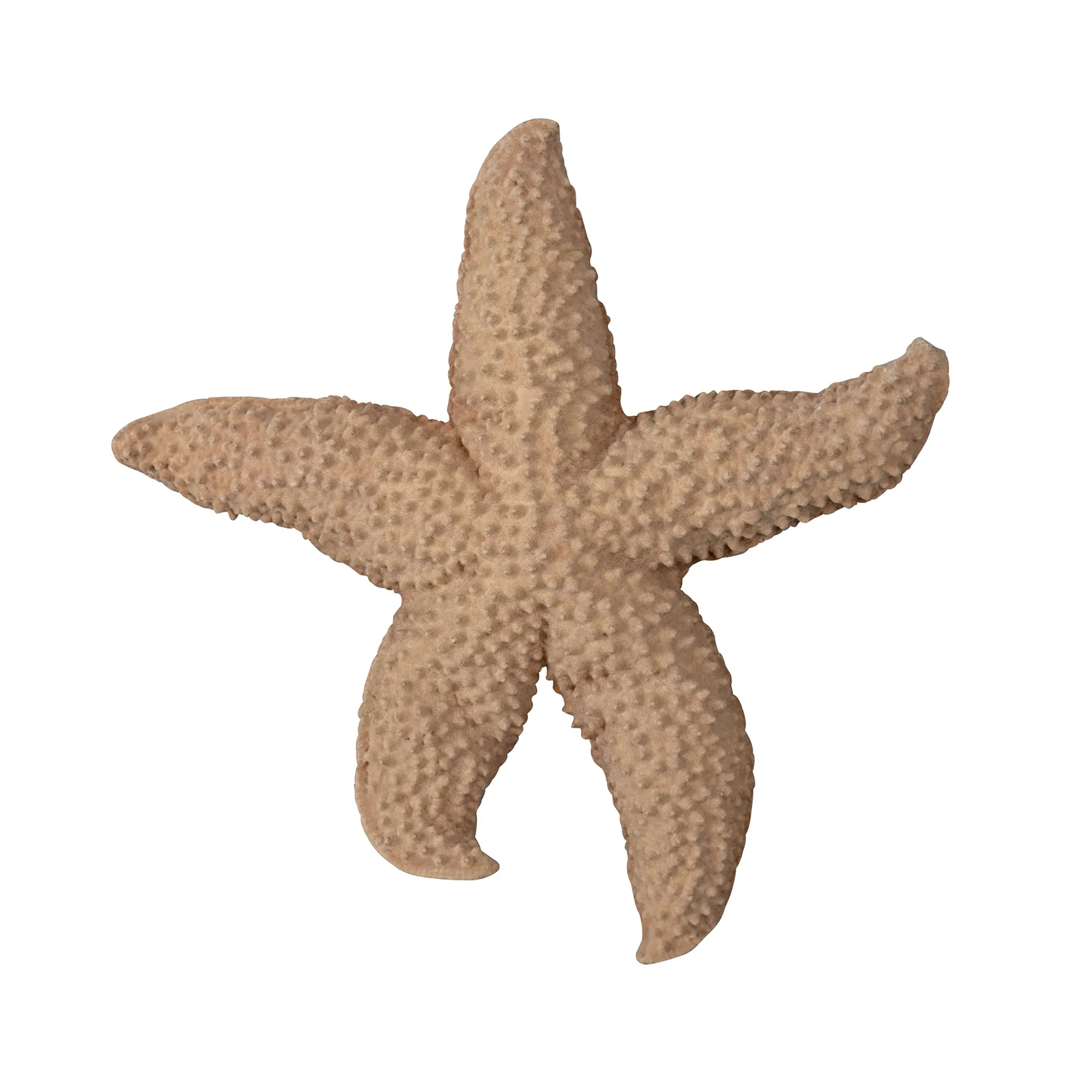 Mandy sjøstjerne, Beige Byon