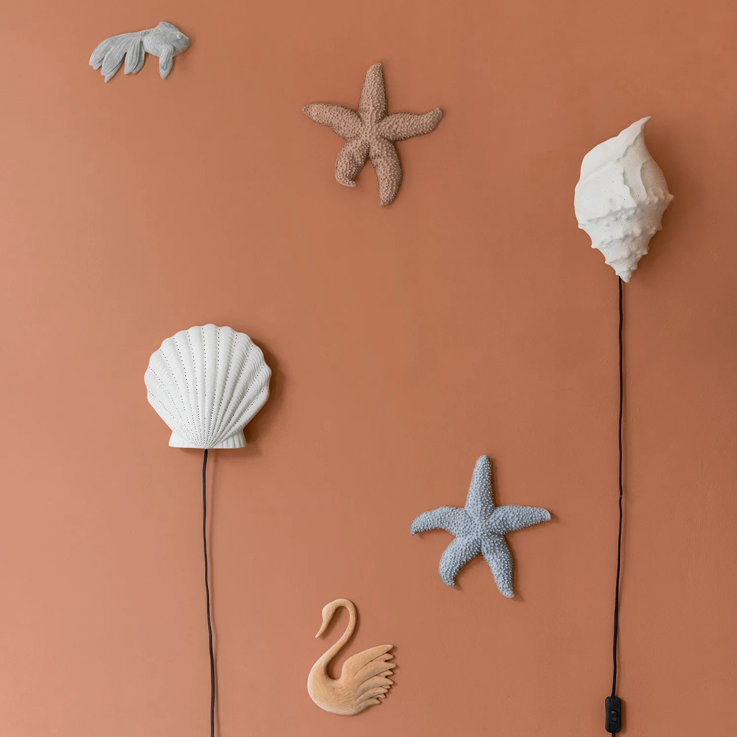 Mandy sjøstjerne, Grå Byon