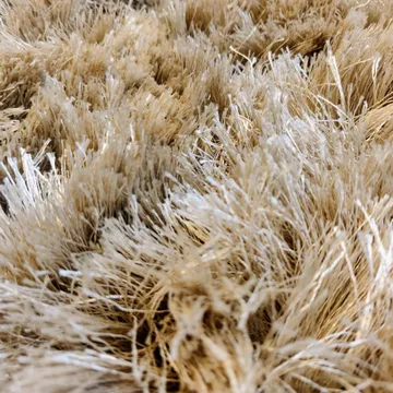 Shaggy teppe 170x230 cm - Champagne - Classic Collection