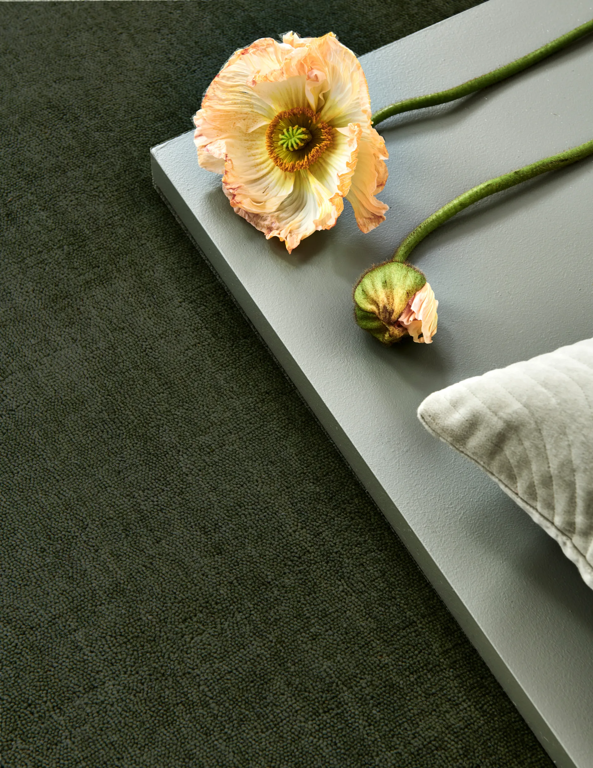 Solid teppe, Green, 200x300 cm Classic Collection