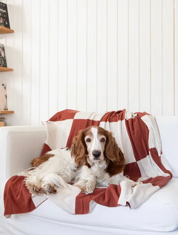 Square pledd 130x170 cm - Mørk Brown - Classic Collection