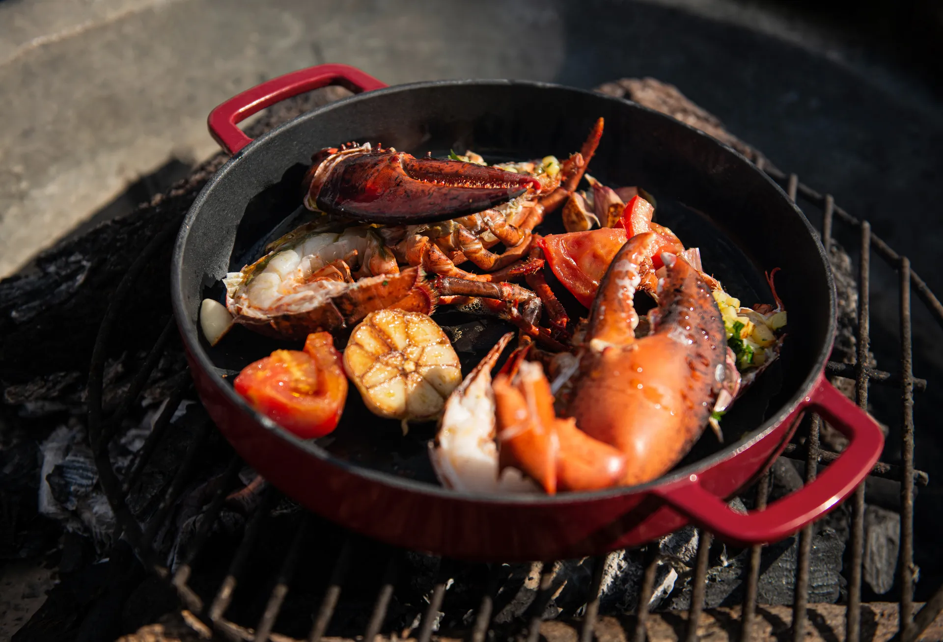 Combekk Enameled stekepanne støpejern Ø24 cm, Bordeaux Combekk