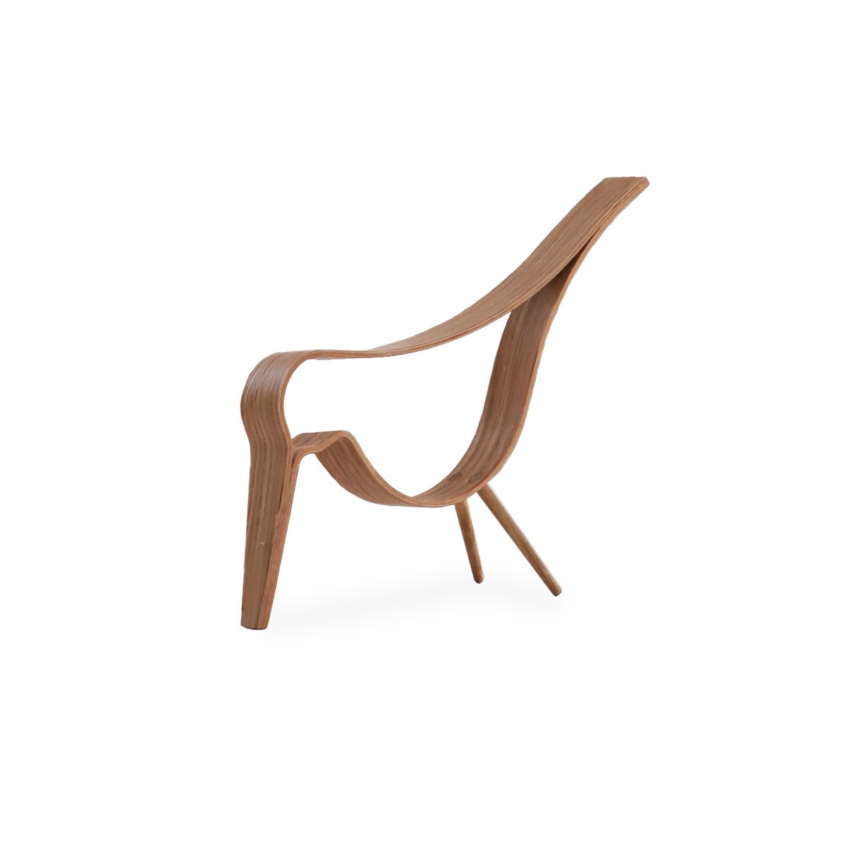Cooee Design Woody Bird medium Eik