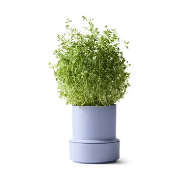 Billund selvvannende urtepotte - Lavender - Crushgrind