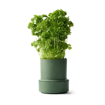 Billund selvvannende urtepotte - Parsley - Crushgrind