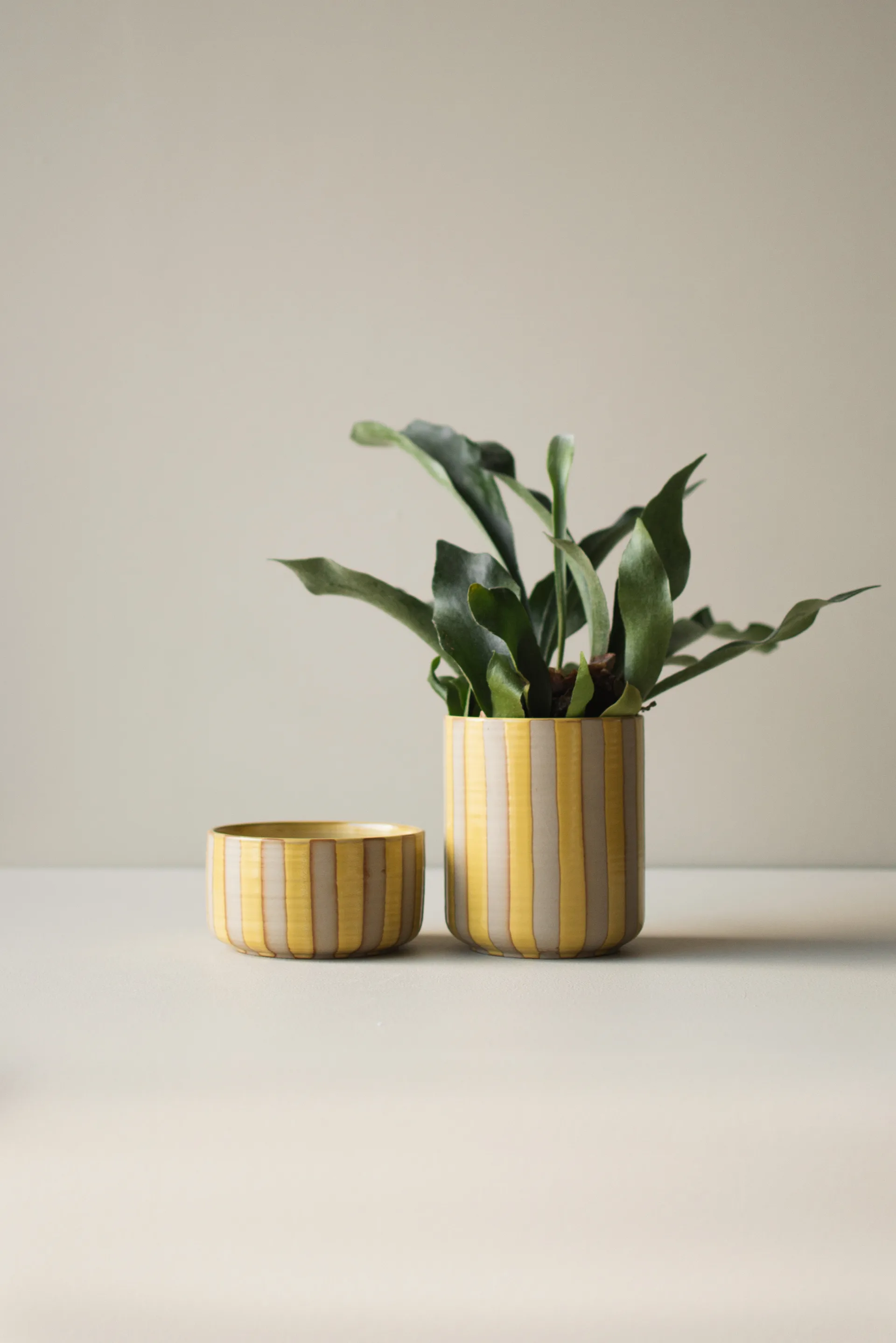 Line krukke Ø14x16 cm, Yellow DBKD