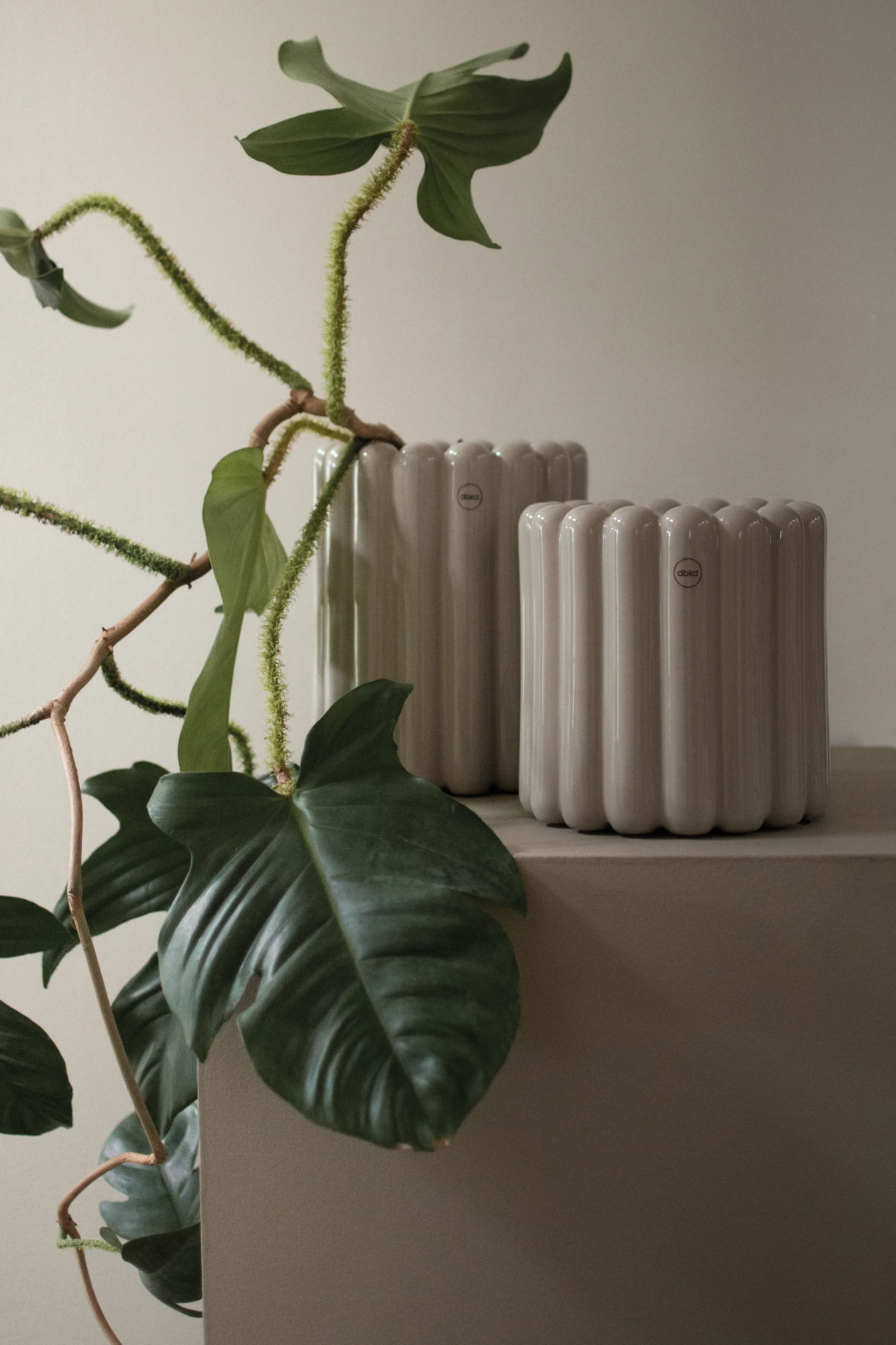 Mist krukke small Ø19x19 cm, Shiny mole DBKD