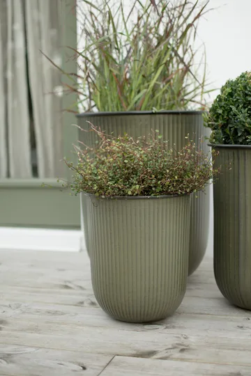 Out stripe krukke 3 deler - Green - DBKD