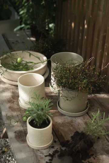 Plant pot krukke small 2-pakning - Beige - DBKD