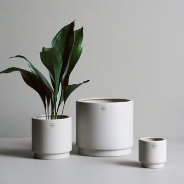 Solid krukke mole - Stor ø24 cm - DBKD
