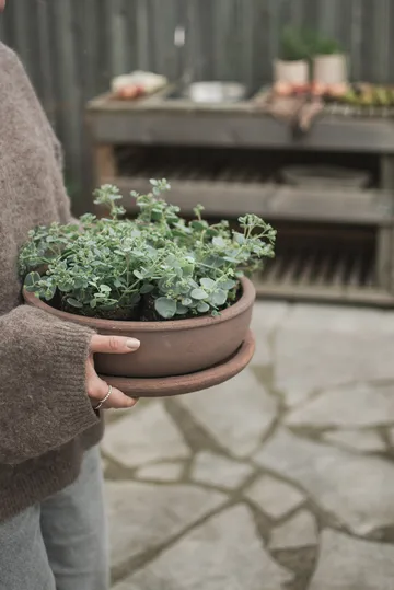 Terra bowl krukke - Brown, Ø30x10,5 cm - DBKD