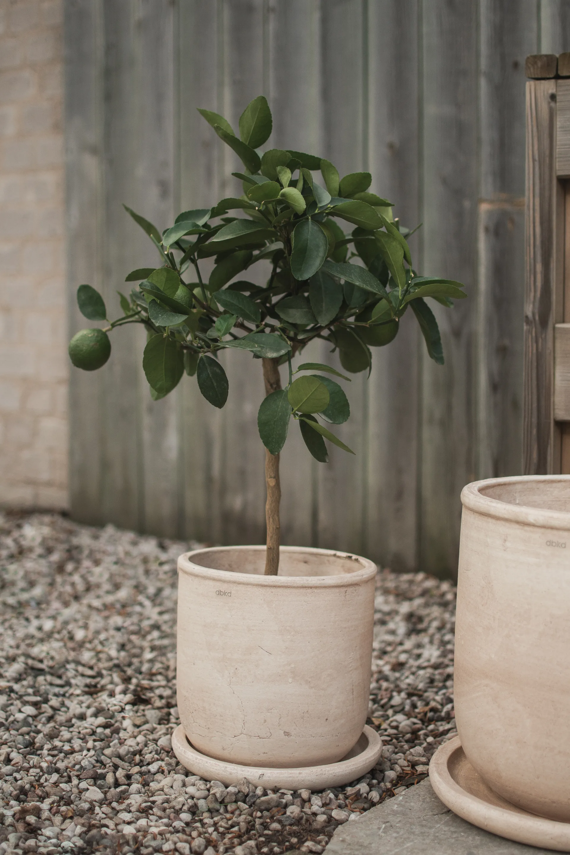 Terra krukke, Sand, Ø23x26 cm DBKD