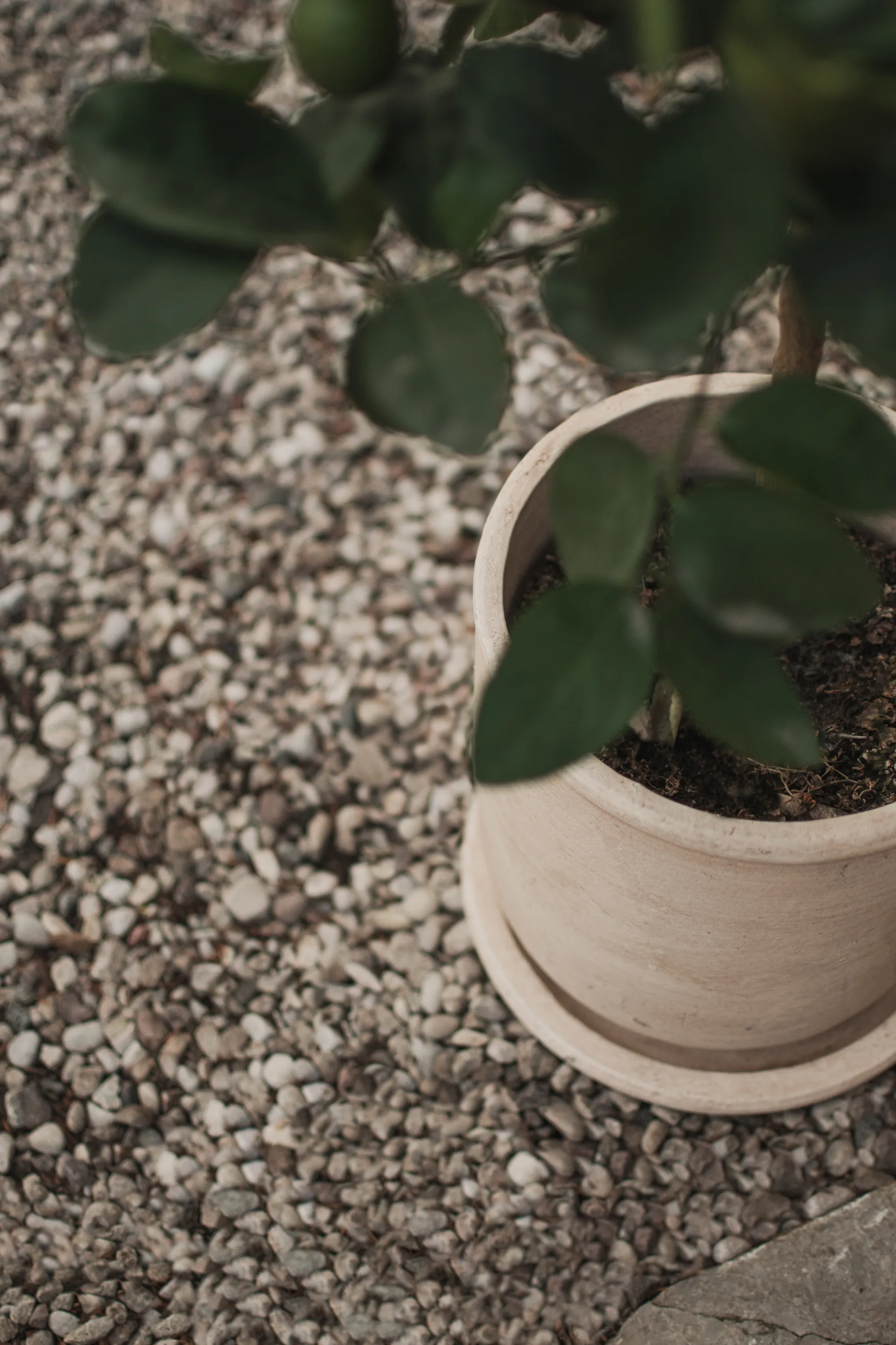 Terra krukke, Sand, Ø23x26 cm DBKD