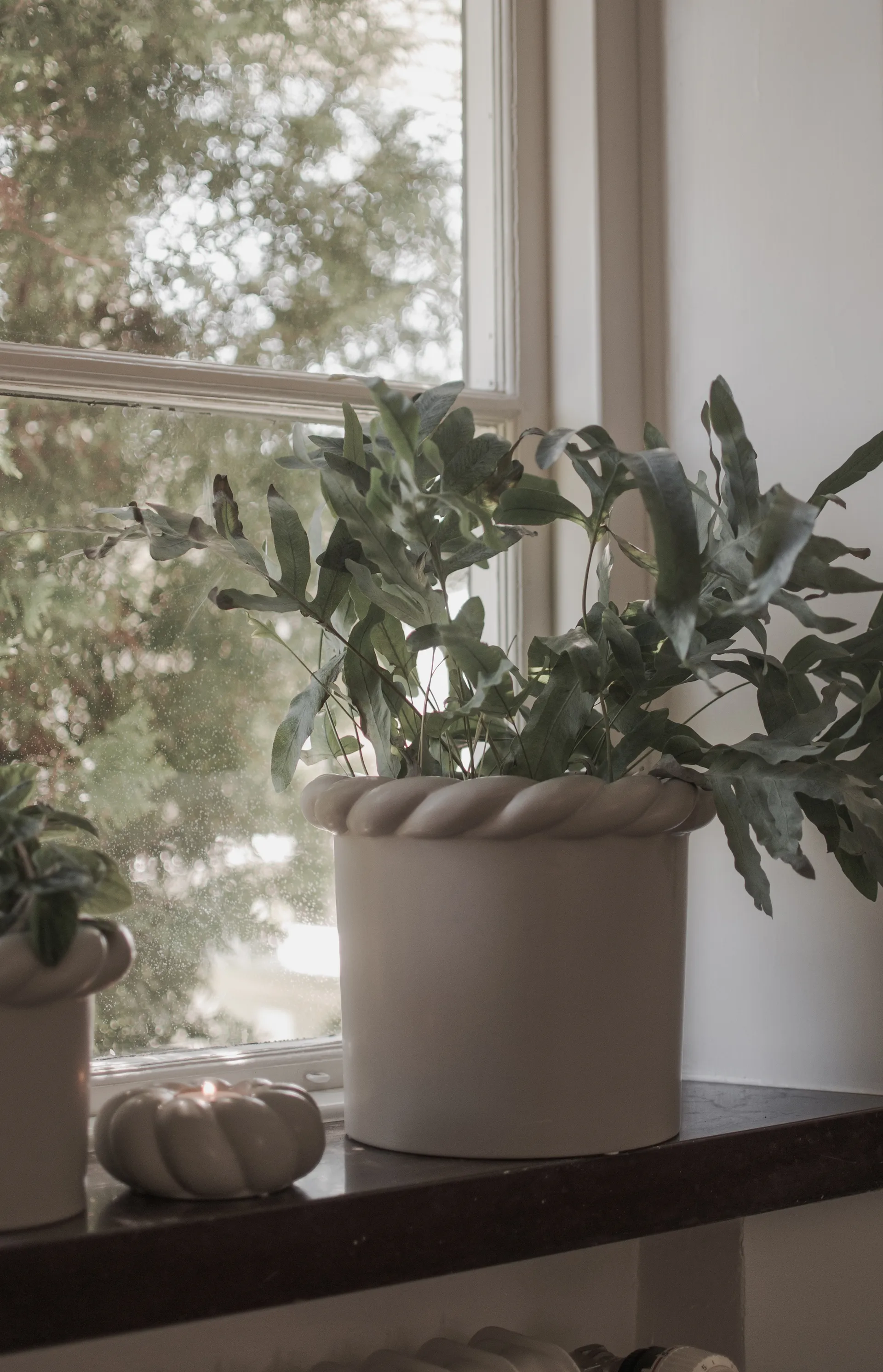 Twine krukke Ø22 cm, Mole DBKD