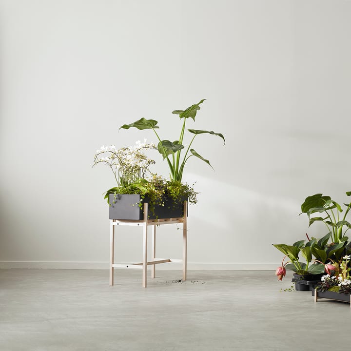 Botanic flower stand - Svart-ask - Design House Stockholm