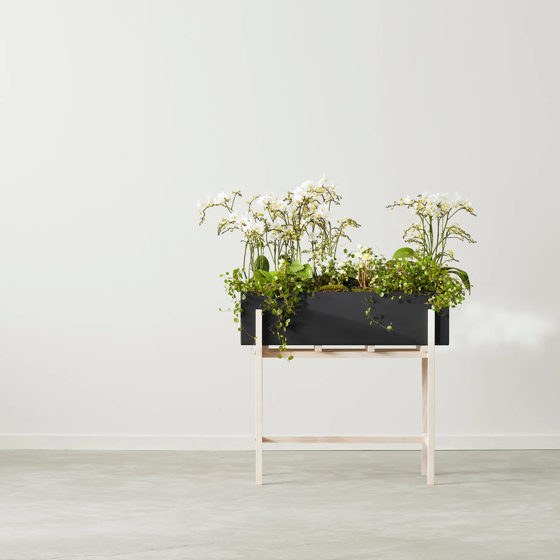 Botanic flower stand, Svart-ask Design House Stockholm
