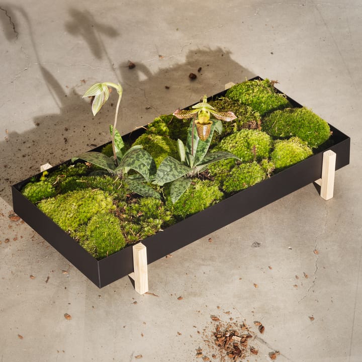 Botanic Flower Tray blomsterbrett, svart Design House Stockholm