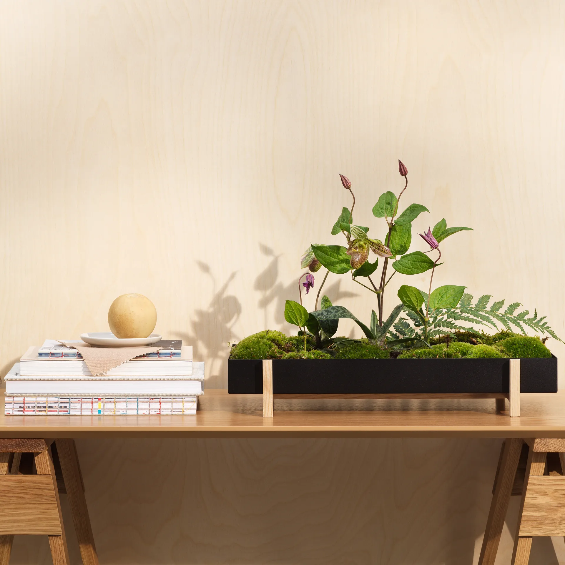 Botanic Flower Tray blomsterbrett, svart Design House Stockholm