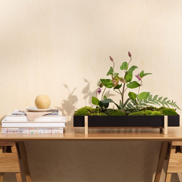 Botanic Flower Tray blomsterbrett, svart Design House Stockholm