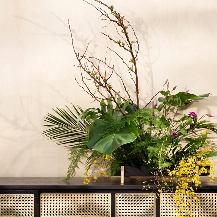 Botanic Flower Tray blomsterbrett - svart - Design House Stockholm