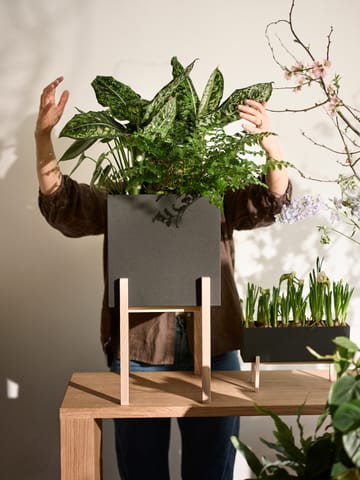 Botanic pedestal krukke - Svart-ask - Design House Stockholm