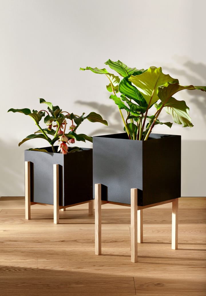 Botanic pedestal krukke, Svart-ask Design House Stockholm