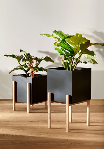 Botanic pedestal krukke - Svart-ask - Design House Stockholm