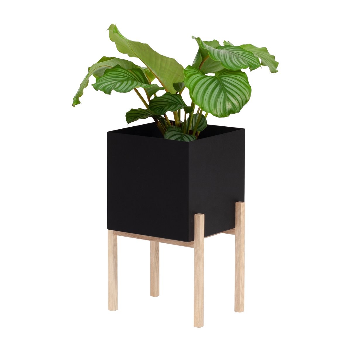 Bilde av Design House Stockholm Botanic pedestal krukke Svart-ask